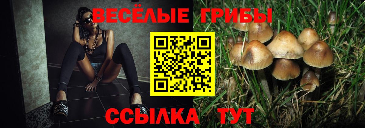 Галлюциногенные грибы прущие грибы Коломна